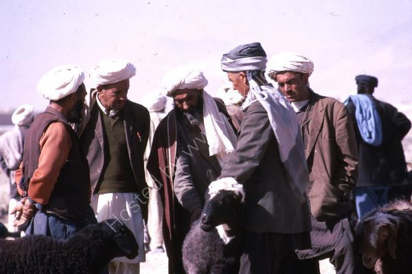 Afghani Farmers, Kabul Camel Market
